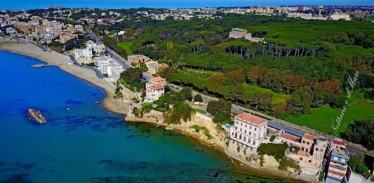 Anzio, approvato il piano per la riforestazione del territorio comunale. Lavori in affidamento