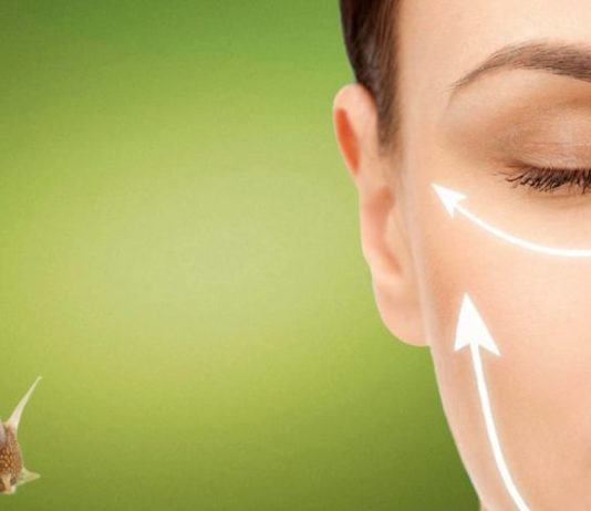 Creme a base di bava delle lumache: tutta la verità sui prodigiosi cosmetici