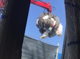 Anzio, dopo 10 giorni rimossi i rifiuti a Villa dei Pini: odore nauseabondo per le case