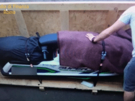 120 kg di cocaina nelle moto d’acqua, 7 arrestati dalla Guardia di Finanza