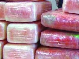 Anche Franco D’Agapiti tra gli arrestati nell’operazione internazionale contro la ‘ndrangheta