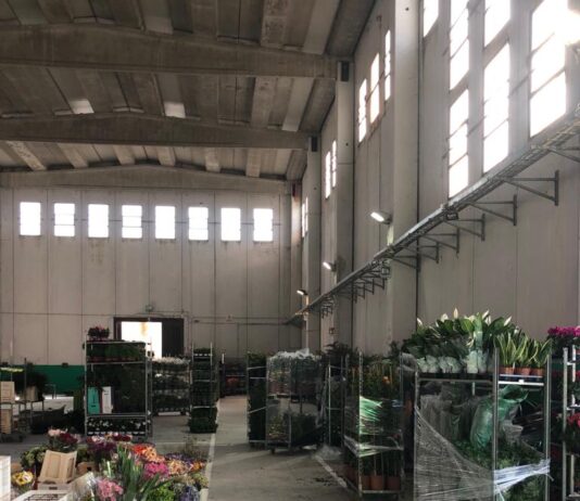 Aprilia. Mercato dei fiori. Nuovi lavori per migliorare l’area fiera di Campoverde