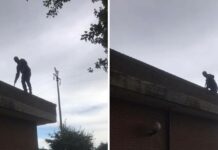 Nettuno. Centrosinistra: “Dell’Uomo sul tetto” l’ha autorizzato il Sindaco?