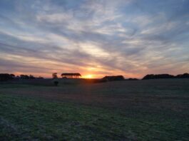 Regione. Ognibene: Oggi iniziata discussione ampliamento Tor Caldara