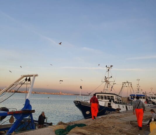 Anzio. Porto, Palomba ApA: bene la sentenza sulle quote, ora ridiscutere il progetto