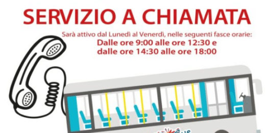 Anzio, arriva il servizio bus esclusivo a chiamata. Dedicato agli over 70 e ai disabili