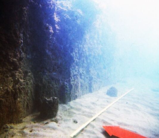 “Antium, archeologica subacquea e Vitruvio nel porto di Nerone”, il volume in arrivo nelle scuole