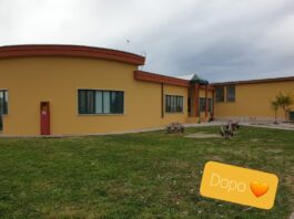 Anzio. Sacida: “Una scuola a colori”, il progetto della scuola dell’infanzia e primaria
