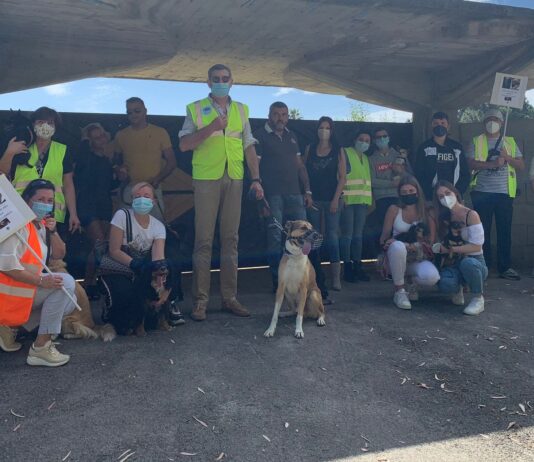 Uccisione labrador Birillo: “Fossignano reagisce ripudiando l’orrore”