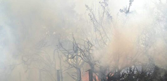 Nettuno. Incendio in via Rovito, coinvolta anche un’abitazione