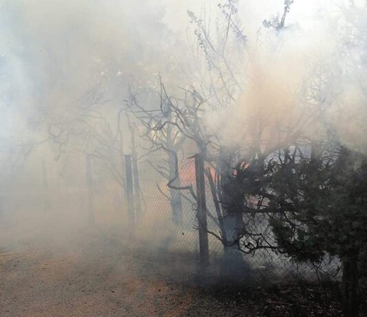 Nettuno. Incendio in via Rovito, coinvolta anche un’abitazione