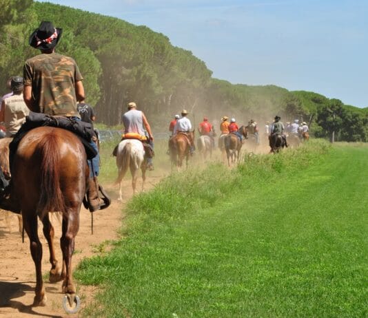 Tutto pronto per la XXIX edizione della transumanza Falasche-Jenne