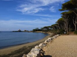 Torre Astura, Tamburrini (La Coccinella): “Pronti a svolgere servizi per tutelare l’area”
