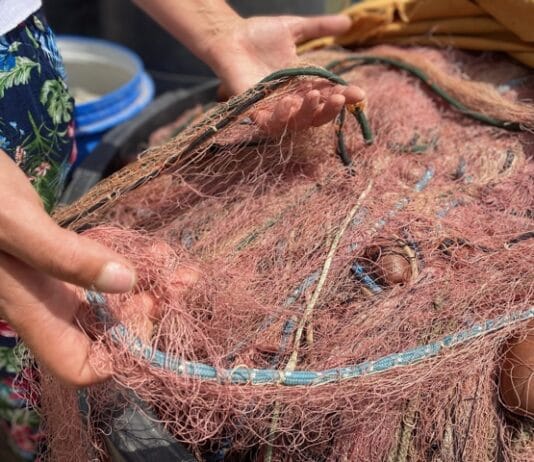 Anzio Nettuno. Successo del Corso da Mastro retiere