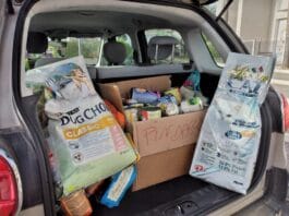 Il consigliere Mercuri: “Anzio si stringe alla titolare dell’Arca di Rita. Aiutiamo i volontari”