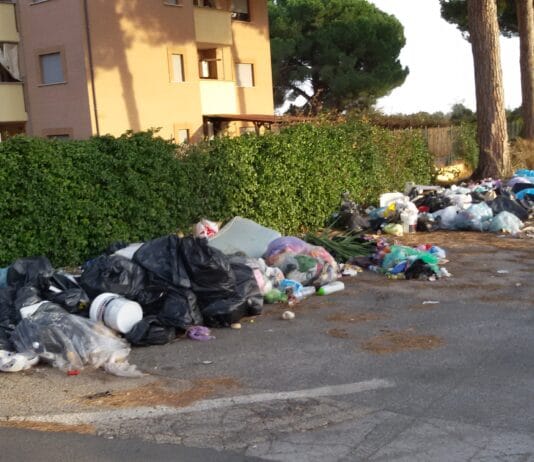 Nettuno. Sandalo, Mandelli: oltre a pulire è necessario perseguire chi abbandona i rifiuti