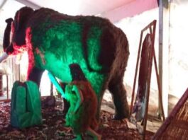 “I giganti della preistoria”, aperto a Villa Adele il parco giurassico a grandezza naturale