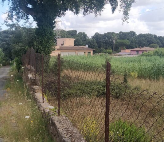 Anzio. Lettera: a Via Dante avanza la “foresta”