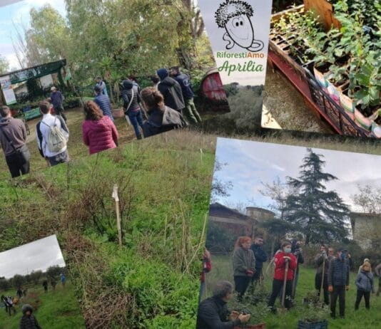 Riforestiamo Aprilia: Cittadini consapevoli piantano la prima nuova foresta per il territorio