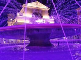 Anzio, la fontana di piazza Pia si colora di viola per la Giornata della disabilità