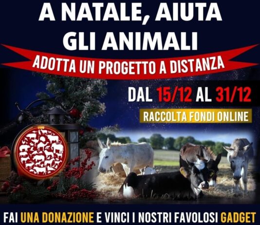 AnimaLiberAction: A Natale aiuta gli animali