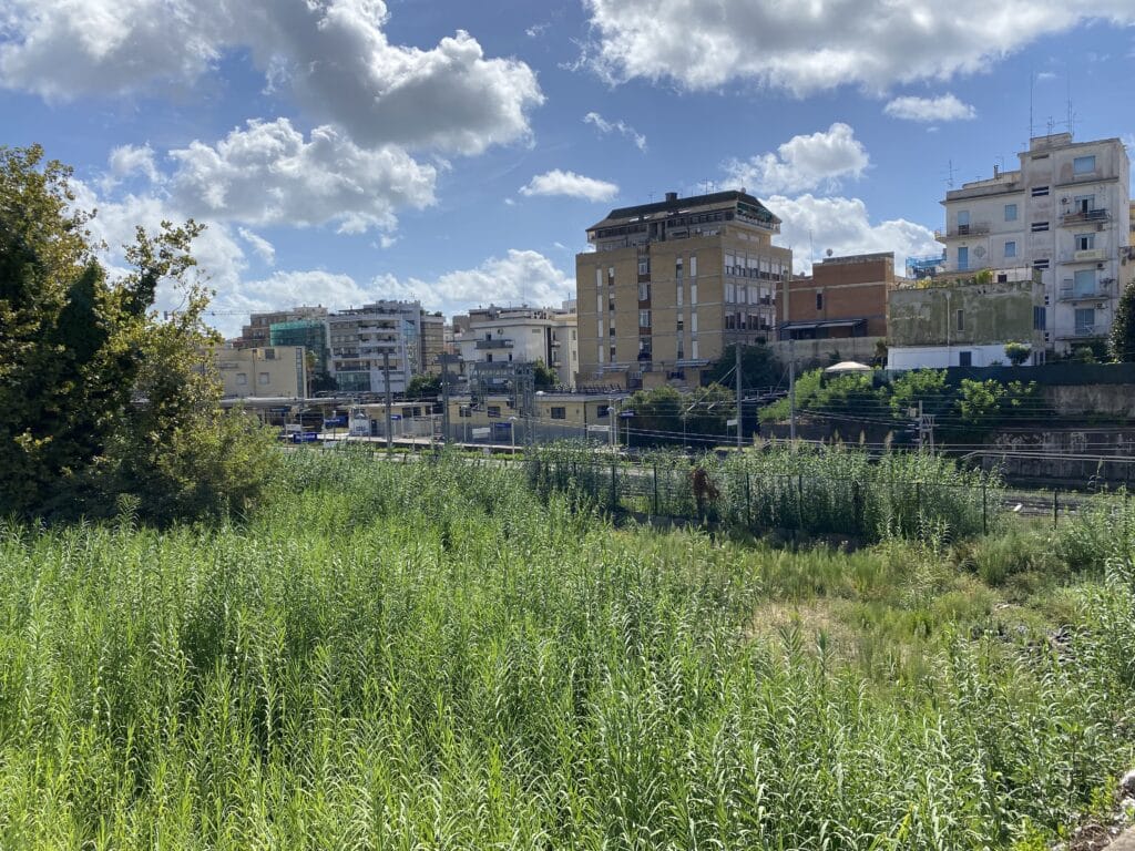 Nettuno Presentata La Stima Per L Acquisizione Dell Area Delle