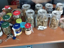 Anzio. Circa 500 grammi di marijuana in casa: arrestato 28enne