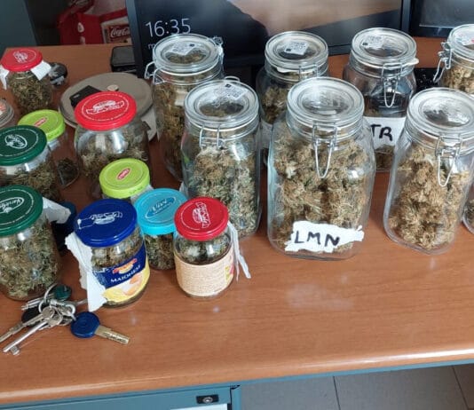 Anzio. Circa 500 grammi di marijuana in casa: arrestato 28enne