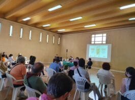 Anzio. Slot mob, impressionante la quantità di denaro speso nel Gioco d’azzardo nelle nostre città