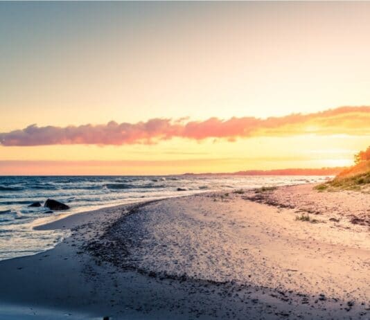 Una domenica bestiale