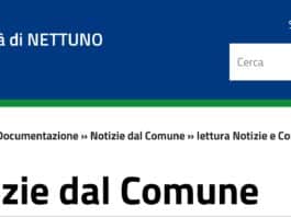 Comune di Nettuno. Avviso pubblico per la ricerca di 2 tecnici, un esperto marketing e un direttore operativo