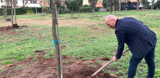 Giornata nazionale degli alberi, il Rotary Club alla Pineta Lido dei Pini