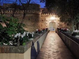 Al Forte Sangallo la presentazione del VI volume dei quaderni dell’Antiquarium