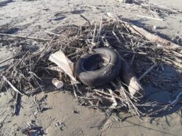 Lettera: Nettuno, spiagge d’inverno nel degrado più totale