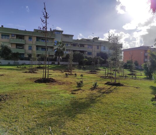 Progetto Ossigeno, a Nettuno 140 nuove alberature e 800 arbusti