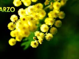 Aprlia. Tante le iniziative per l’8 marzo: intitolazioni di tre aree verdi e un convegno