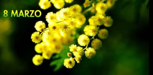 Aprlia. Tante le iniziative per l’8 marzo: intitolazioni di tre aree verdi e un convegno