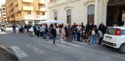 Nettuno. Grande adesione al “Microchip day” organizzato dal Comune e la Asl Roma 6