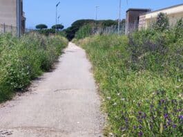 Anzio, ragazza violentata. Dopo l’esame del DNA, la Polizia sulle tracce del violentatore