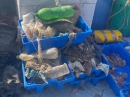 Marevivo: più plastica che pesci. Non dobbiamo aspettare il 2050