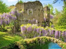 Mille eventi nei parchi per vivere “L’Estate della Regione Lazio”: escursioni, teatro, concerti