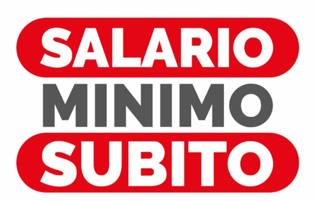 Lavoro Povero. Sul Salario Minimo, Parte Raccolta Firme Delle ...