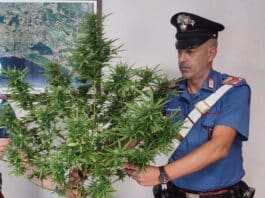 Nettuno, arrestato un 50enne per detenzione e spaccio di stupefacenti