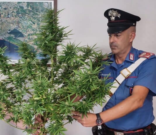 Nettuno, arrestato un 50enne per detenzione e spaccio di stupefacenti