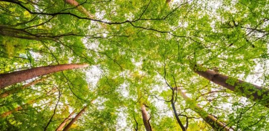 Educazione ambientale per studenti e anziani nelle aree naturali protette della Regione Lazio