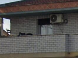 Anzio. Cgil, devastata la sede Flai di Lavinio, un gesto vile