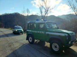 Carabinieri forestale Lazio, nel 2023: 80mila controlli, contestati 1.328 reati e 2.997 illeciti amministrativi