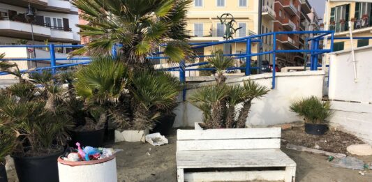 Anzio. Quella panchina sulla spiaggia rovinata dai sacchetti con gli escrementi dei cani