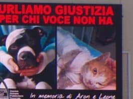 “Urliamo giustizia per chi voce non ha”, successo della campagna pubblicitaria contro il maltrattamento degli animali