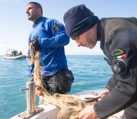 La Divisione Sub di Marevivo in azione a Civitavecchia, rimossa rete fantasma lunga 200 metri